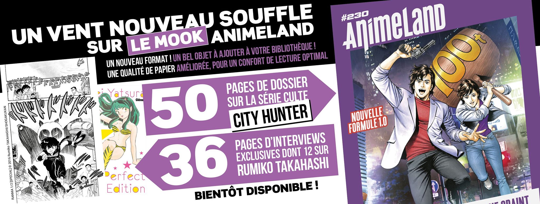 AnimeLand 230 City Hunter