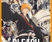 L’AnimeLand n°249 – BLEACH & Studio Pierrot est disponible !